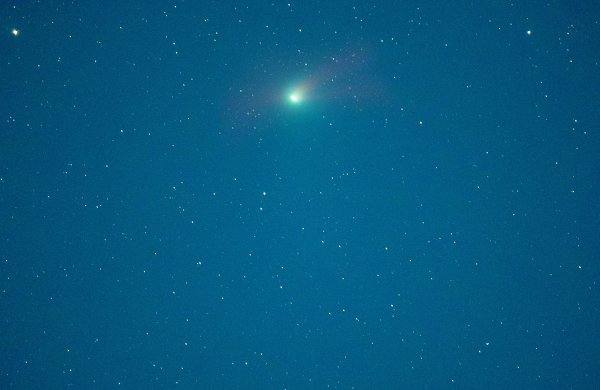 昊天优配 《炭疽防控技术要点（第二版）》印发