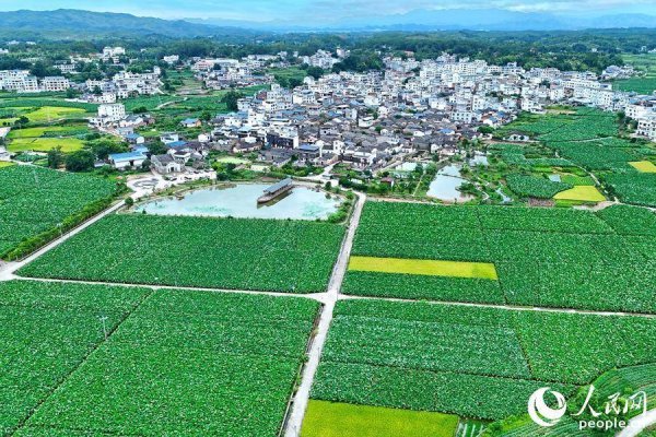沪深股票配资 行进中国丨千年古村“让”出好前景